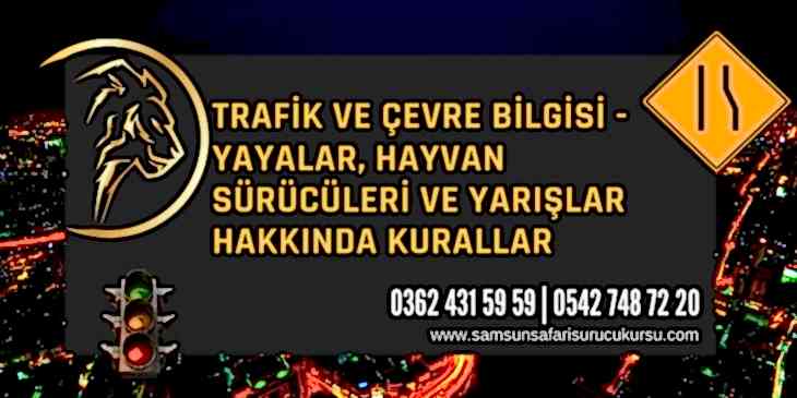 Yayalar, Hayvan Sürücüleri ve Yarışlar Hakkında Kurallar Ders Videosu