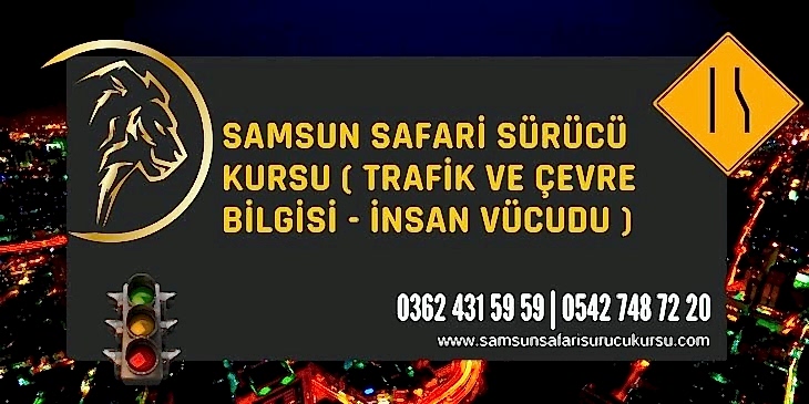 İnsan Vücudu Ders Videosu