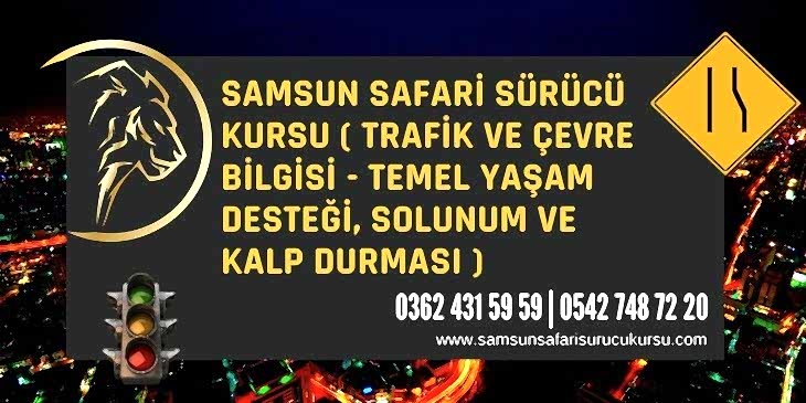 Temel Yaşam Desteği, Solunum ve Kalp Durması Ders Videosu